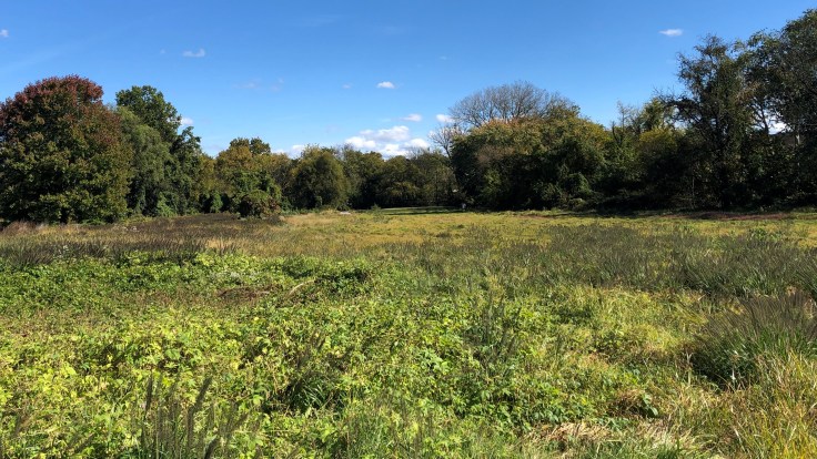 Cobbs Creek Golf Club - Karakung 1st Tee